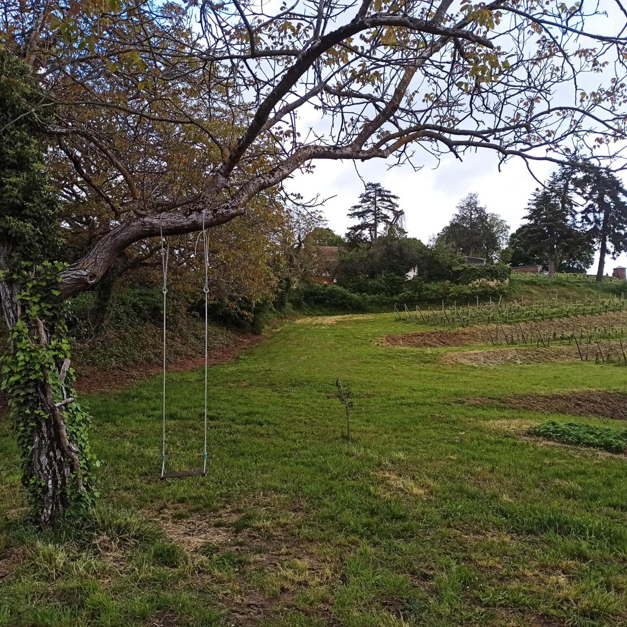 Appartement Joli F2 Indépendant Avec Jardin Privé