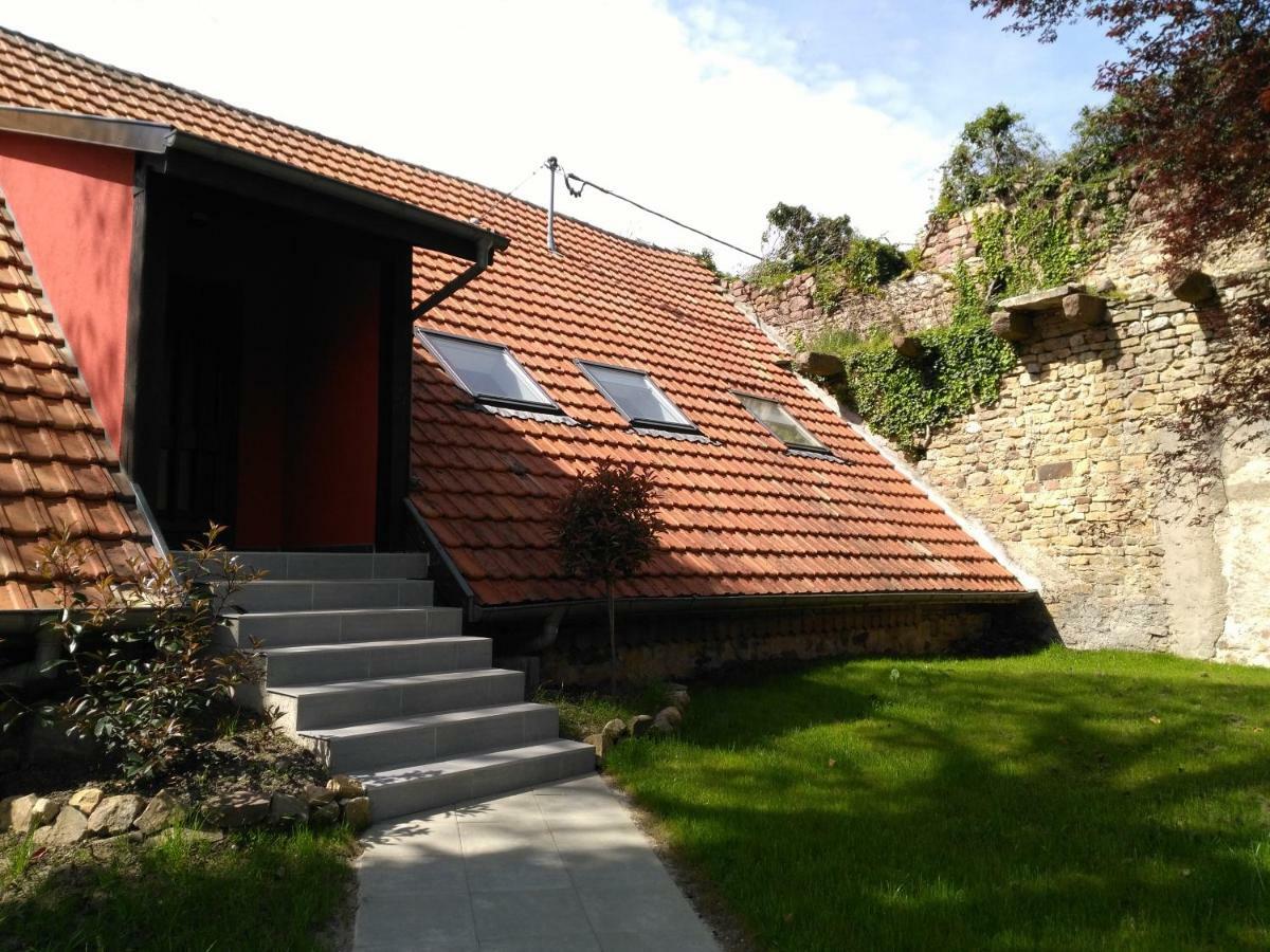 Joli F2 Indépendant Avec Jardin Privé Appartement Rouffach