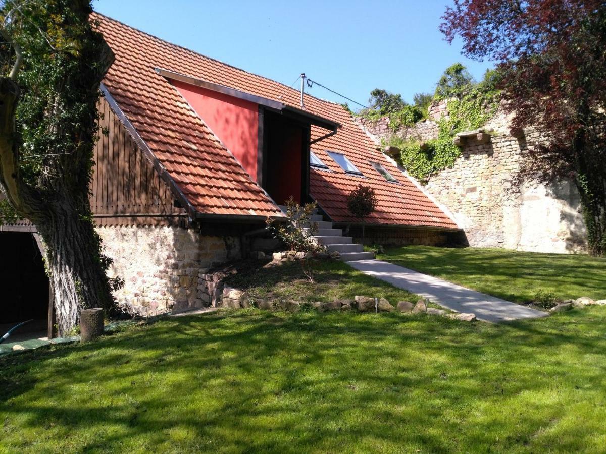 Joli F2 Indépendant Avec Jardin Privé